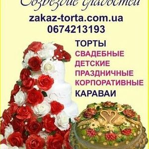 oksana.shipulina