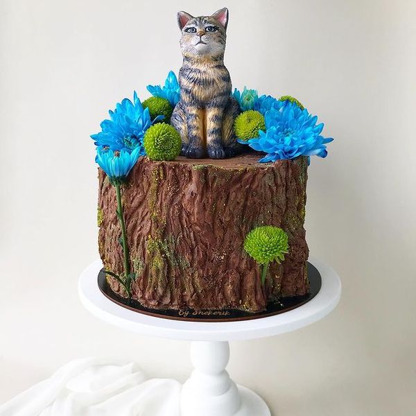 Котик