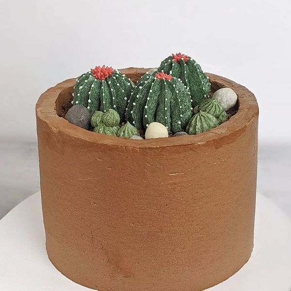 Кактус