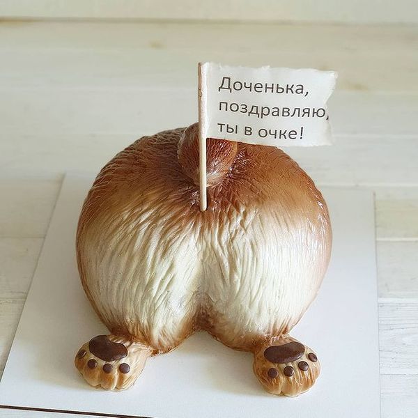 Собачья попка