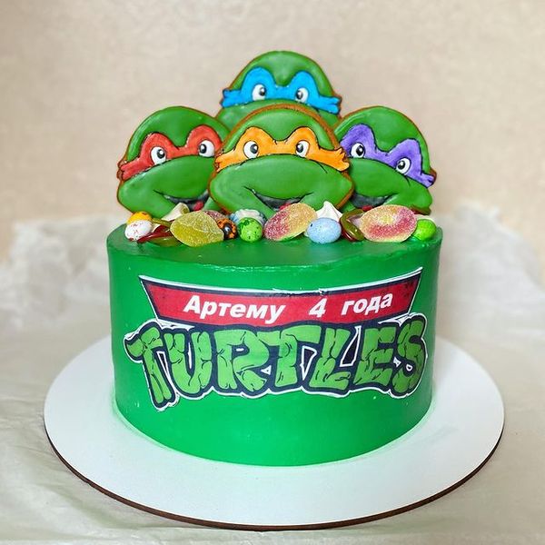 Turtles