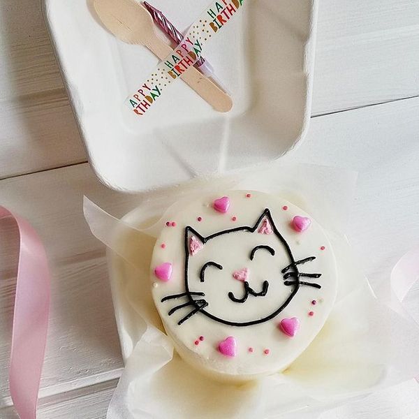 Котик
